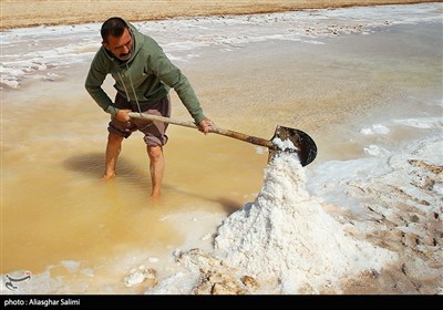 برداشت سنتی نمک در خراسان شمالی- عکس استانها تسنیم