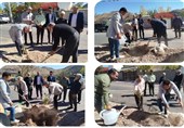 پویش کاشت نهال در روستای &quot;پیرانج&quot; بیرجند اجرا شد