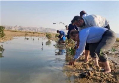 حرا،طبيعي،منابع،روستاي،توسعه،ساحلي،شهرستان،جبراني،گردشگري،استان