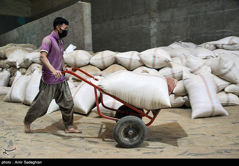 سیاست‌های غلط دولتی بازار برنج را متلاطم کرد