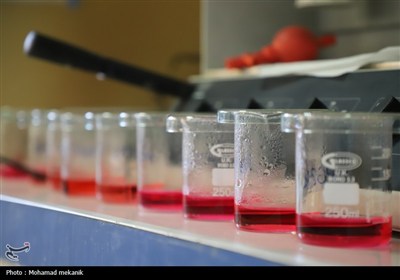 بازدید خبرنگاران خراسان رضوی کارخانجات خوراک دام- عکس صفحه ا ...