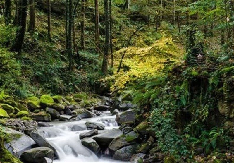 سفر پاییزی به شگفتانه گردشگری شمال ایران/ از جنگل‌های هیرکانی تا پل تاریخی ورسک