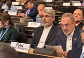 Iran Urges Greater Global Support in Hosting Afghan Refugees