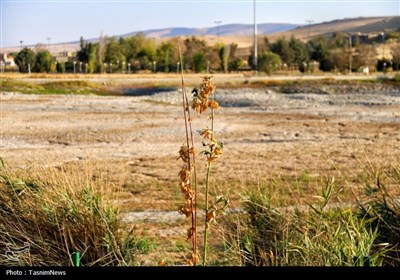 خشکسالی در سراب نیلوفر- عکس صفحه استان تسنیم