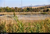 تمدید خشکسالی تا پایان آذرماه/ پاییز امسال خشک‌ترین پاییز قرن می‌شود؟