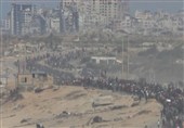 آغاز بازگشت آوارگان فلسطینی به شهر غزه و شمال آن پس از اجرای آتش‌بس