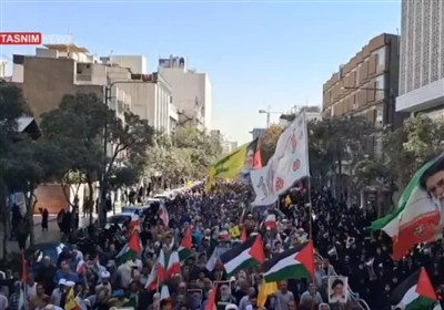 رضوي،بشارت،نصر،مطهر،حرم،حضور،مجاوران