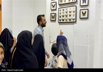 پستي،كودكان،كانون،كتابخانه،كودك،روستا،اعضاي،بندرعباس،مهر،است ...