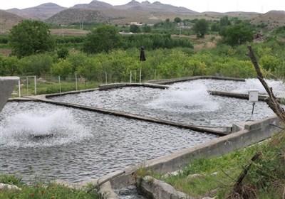 اردبيل،استان،تسهيلات،شيلات،مديركل،ريال،230