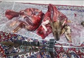 دستگیری شکارچیان متخلف در منطقه حفاظت‌شده ارجمند فیروزکوه