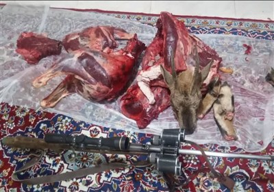 فيروزكوه،اداره،ارجمند،مأموران،سرپرست