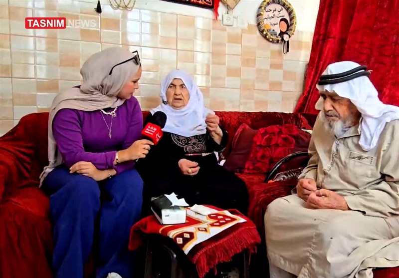 تبر بر ریشه‌ میراث فلسطین؛ مردم و درختان زیتون بهای توسعه شهر‌ک‌سازی