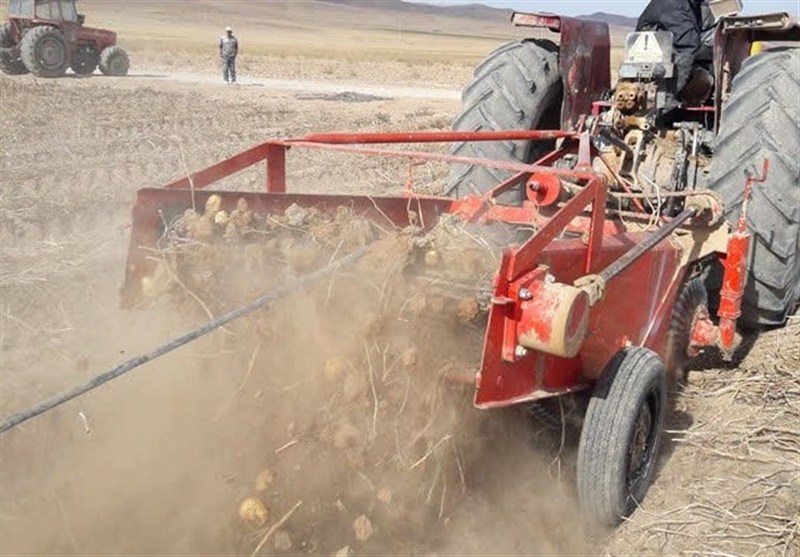 کشاورزی , اخبار نیشابور , 
