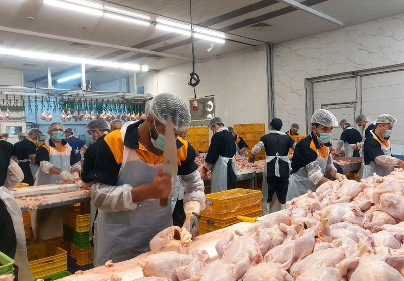 شهریار , قیمت گوشت , قیمت مرغ ,