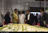 افتتاحیه نمایشگاه ظرفیت ها و توانمندیهای اقتصادی استان فارس