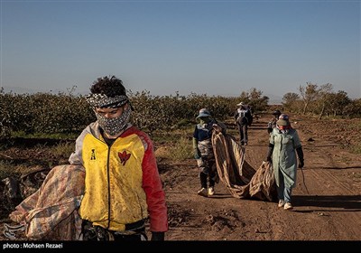 تولید ملی برای آبادانی مناطق محروم