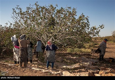 بنیاد علوی 7 مدل نوآورانه برای مشارکت مالی خیرین معرفی کرد