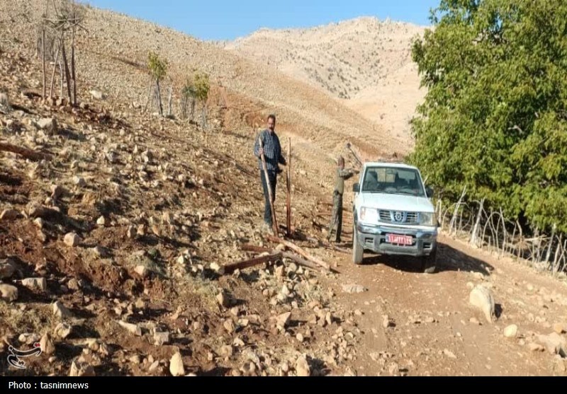 سازمان منابع طبیعی , اخبار استان کهگیلویه و بویراحمد , اخبار یاسوج , 