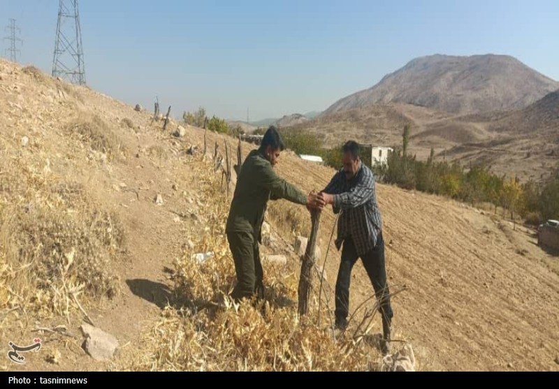 سازمان منابع طبیعی , اخبار استان کهگیلویه و بویراحمد , اخبار یاسوج , 