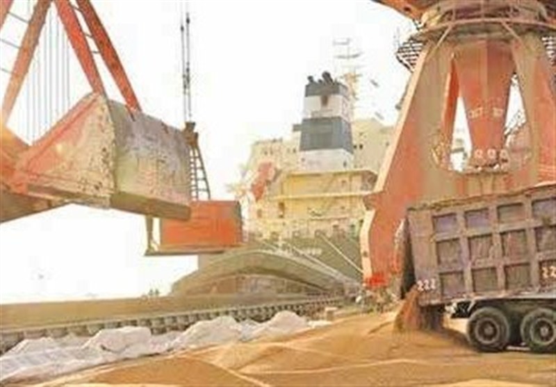 ترخیص بیش از 230 هزار تُن نهاده دامی در نیمه نخست سال