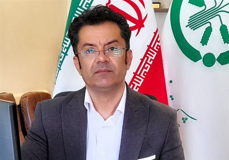 توزیع بیش از 67هزار تن کود یارانه‌ای در همدان