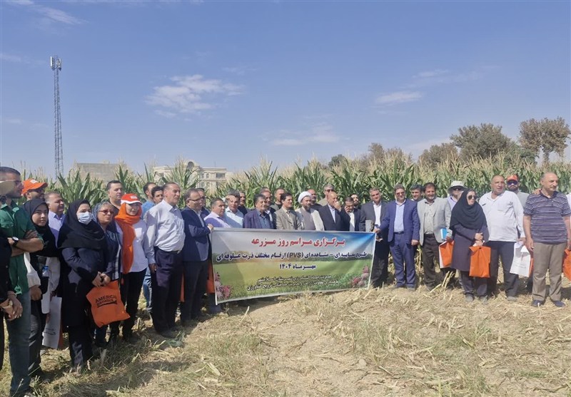 حذف دلالان و تضمین درآمد کلید حفظ انگیزه کشاورزان اسلامشهری است