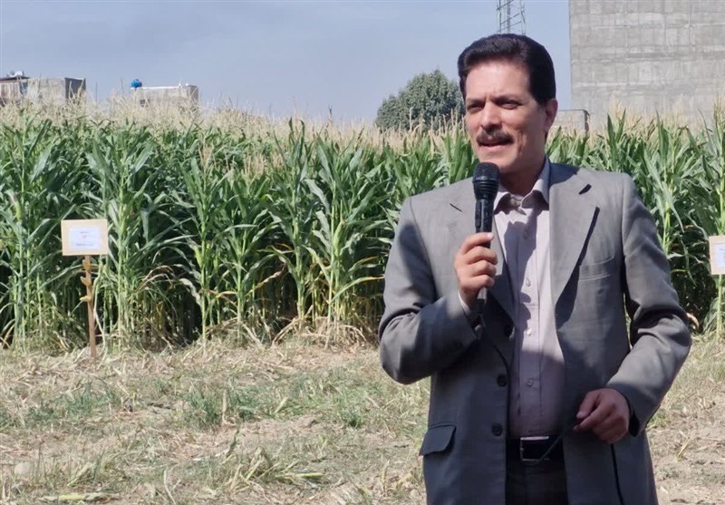 نجات از خشکسالی در استان تهران با کشت کم‌آب‌بر و توسعه گلخانه