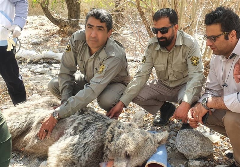 پایش و نظارت در محیط زیست , اخبار استان کهگیلویه و بویراحمد , 