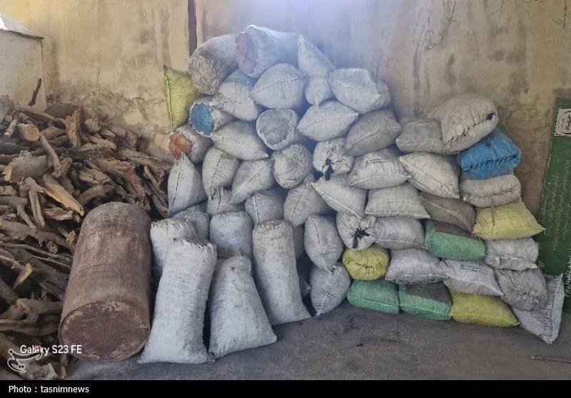 سازمان منابع طبیعی , اخبار استان کهگیلویه و بویراحمد , 