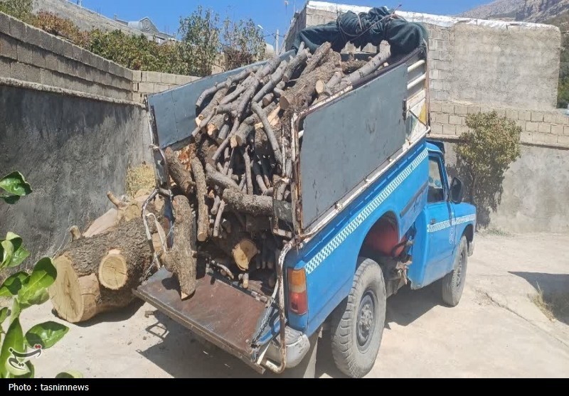 دستگیری 7 قاچاقچی چوب و ذغال در چرام/از تخریب محیط زیست تا چالش معیشت+تصویر