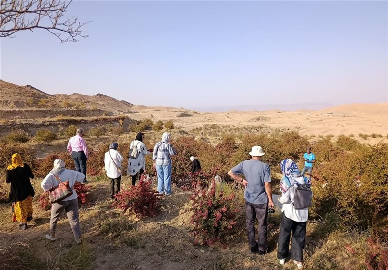 گردشگری , اخبار استان خراسان جنوبی , کشور یونان ,