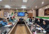 استفاده از ظرفیت رسانهای شهرستانهای خراسان جنوبی در اجرای طرح «ایرانجان»