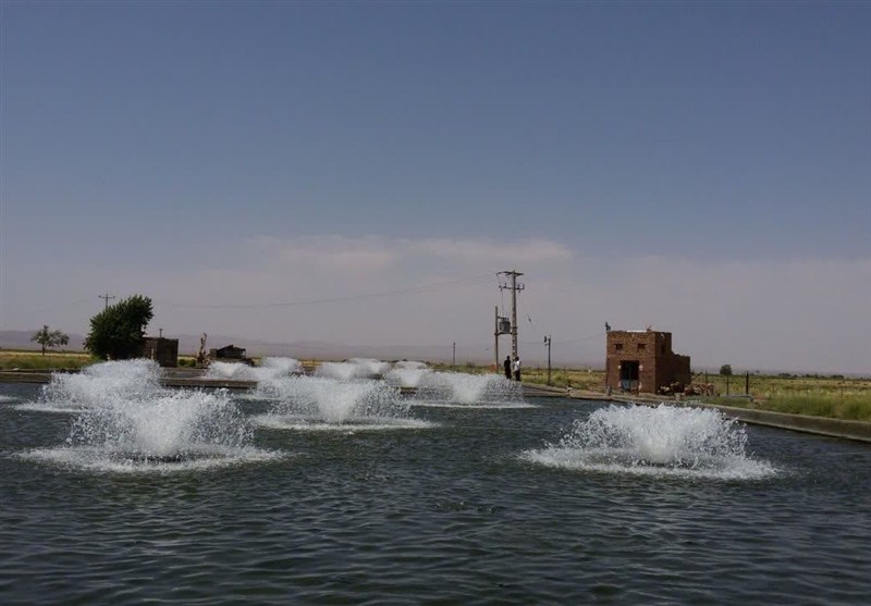 اخبار نیشابور , اخبار استان خراسان رضوی , اخبار مشهد , 