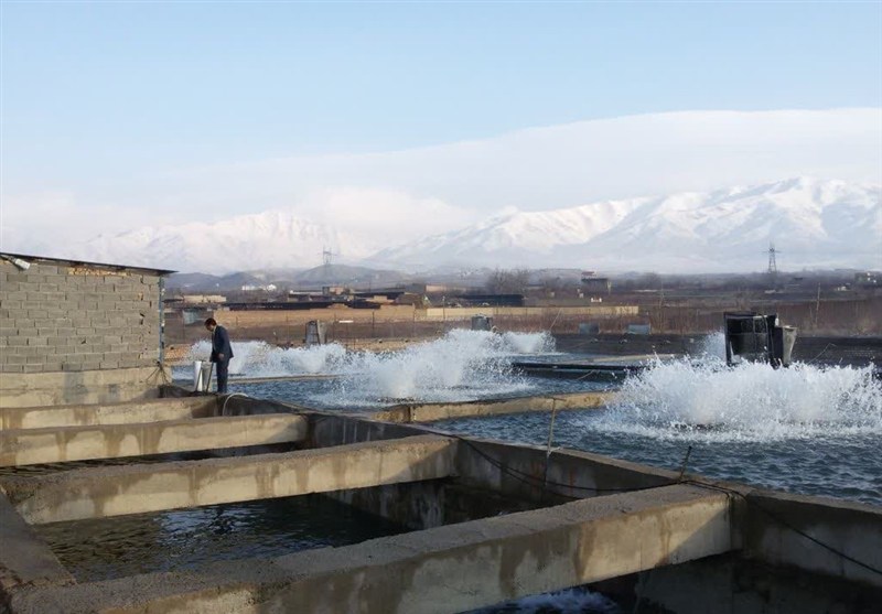 اخبار نیشابور , اخبار استان خراسان رضوی , اخبار مشهد , 