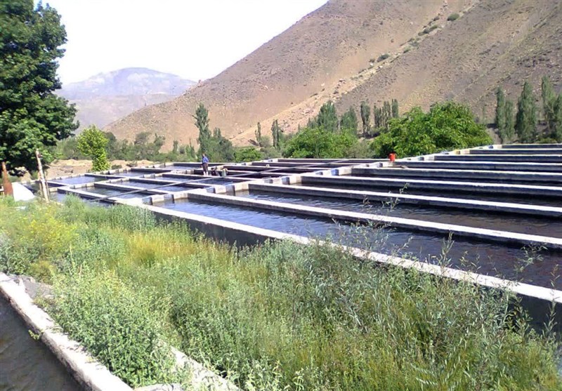 اخبار نیشابور , اخبار استان خراسان رضوی , اخبار مشهد , 