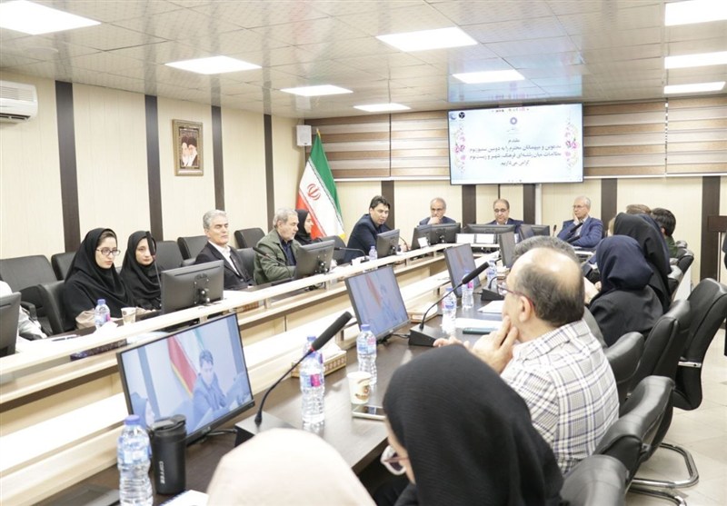 میرزایی: تحلیل مسائل جامعه نیازمند مدلهای میان رشتهای است