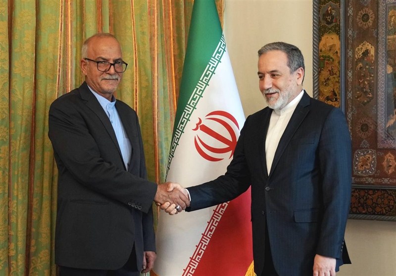 دیدار سرکنسول جدید ایران در ارزروم با عراقچی