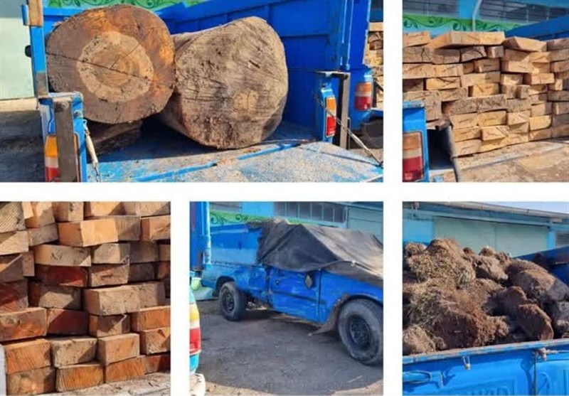دستگیری 30 قاچاقچی چوب در 20 ماه اخیر