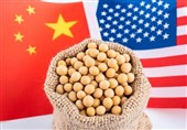 افزایش فشار چین بر آمریکا با توقف واردات محصولات کشاورزی