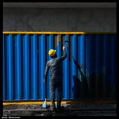 رنگ زندگی در میان سایه ها