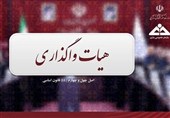 موافقت هیأت واگذاری با عرضه 53 درصد سهام شرکت «آلومینای ایران»