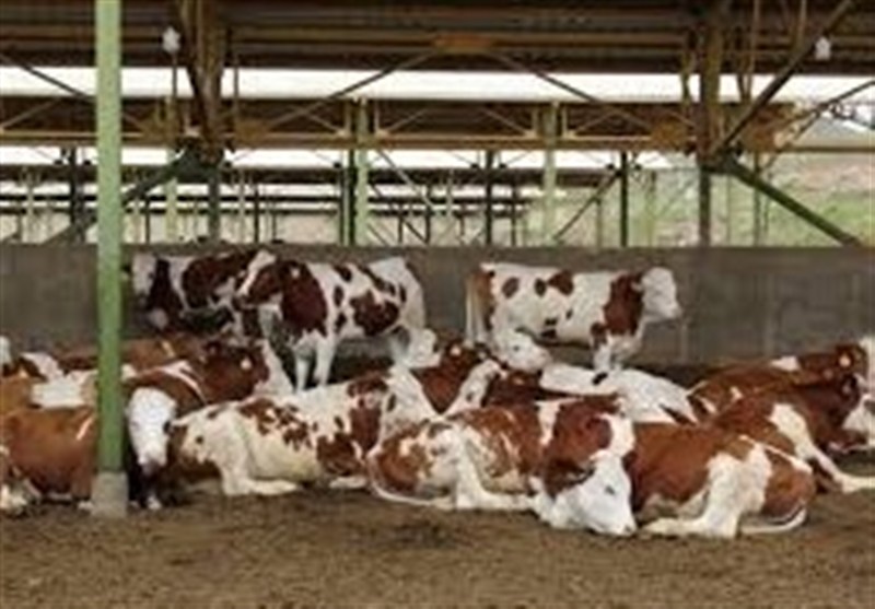 اخبار استان همدان , 