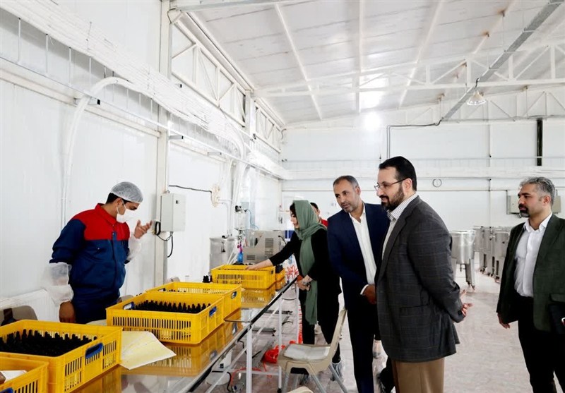 اخبار استان خراسان جنوبی ,
