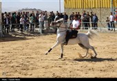 برگزاری جشنواره سوارکاری در فرخشهر + تصاویر