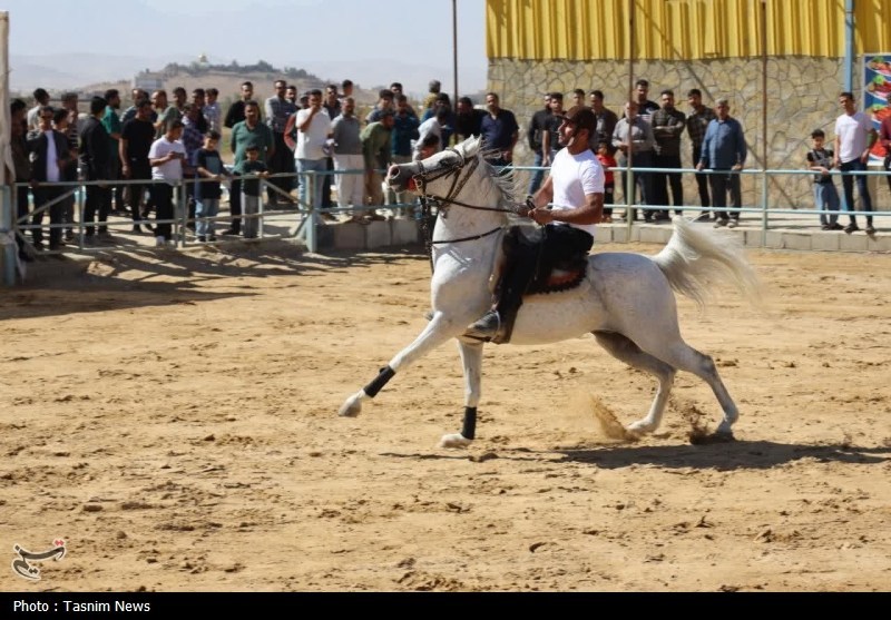 درخشش سوارکاران قزوینی در مسابقات قهرمانی استان