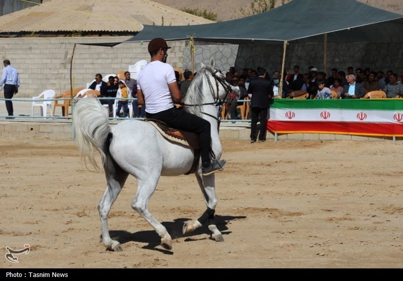 برگزاری نخستین همایش منطقه‌ای سوارکاری در الیگودرز