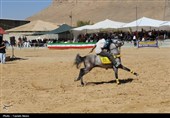 جشنواره سوارکاری در فرخشهر