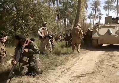 مستند جرف الصخر