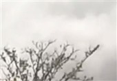 ماجرای انفجار مهیب در منطقه شکار ممنوع سوادکوه چه بود؟ + فیلم