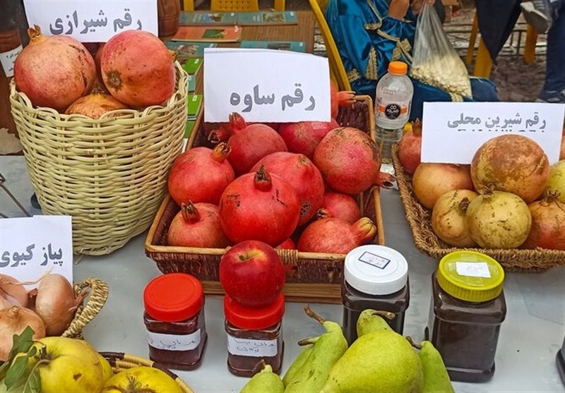 اخبار استان اردبیل , میراث فرهنگی , سازمان میراث فرهنگی، صنایع دستی و گردشگری , گردشگری ,